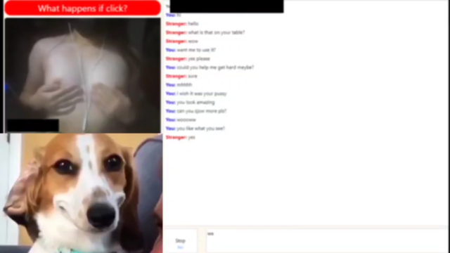 Petite Omegle babe showed her kitty